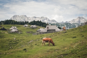 Příroda - Slovinské pohledy II