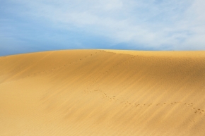 Lubomír Petřík - Písečné duny