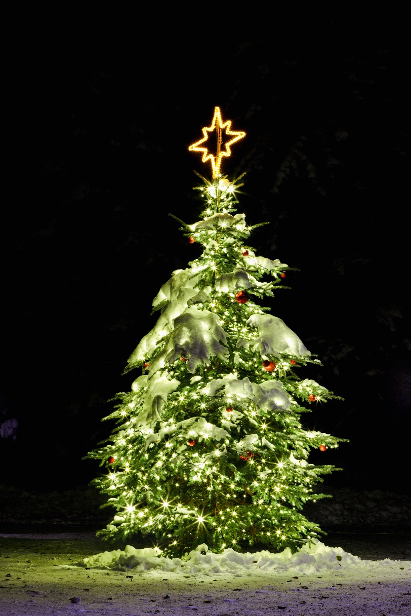 Vánoční strom Želiv 