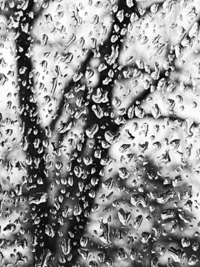 Černobílá - Okno po dešti
