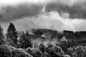 Černobílá - Jizerská mlha