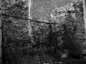 Černobílá - Popadaný plot