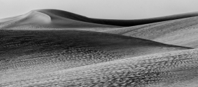 Černobílá - Písečné duny II