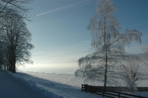 Kouzlení zimy - Modré nebe
