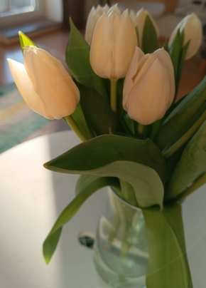 Květiny - Váza s tulipány