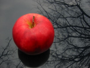 Příroda v detailu - Fotograf roku - kreativita - Jablko na kapotě...