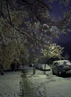 Kouzlení zimy - Zima v Malenovicích