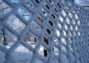 Kouzlení zimy - Mráz na plotě