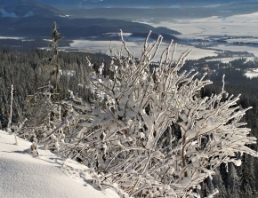 Kouzlení zimy - Vysoké Tatry 3
