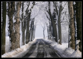 Kouzlení zimy - Cesta nikam