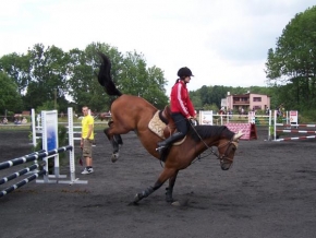 Pohyb bez motoru - Kůň akrobat