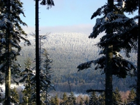 Kouzlení zimy - Šumava pohled přes údolí