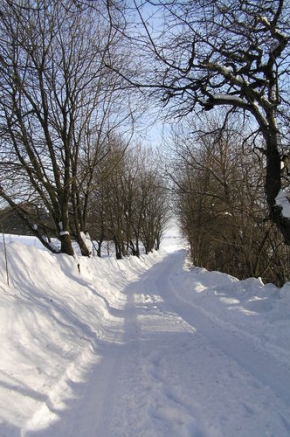Kouzlení zimy - Zasněžená silnice