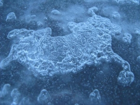 Příroda v detailu - Ledová mapa