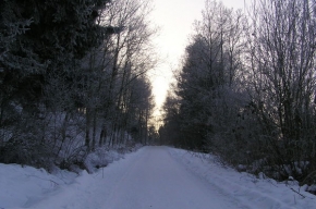 Kouzlení zimy - Cesta lesem