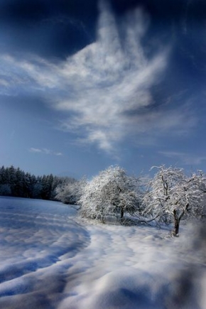 Kouzlení zimy - Fotograf roku - kreativita - Kouzlení zimy 2