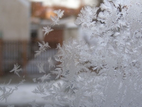 Kouzlení zimy - Za oknem