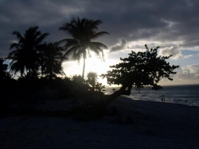 Příroda v detailu - Zimní Kuba při západu slunce
