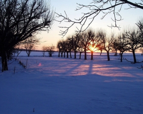 Kouzlení zimy - Konec dne nad sadem