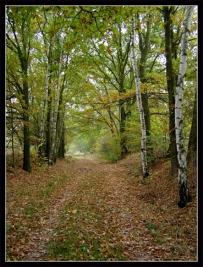 Na cestách i necestách - Podzimní procházka...