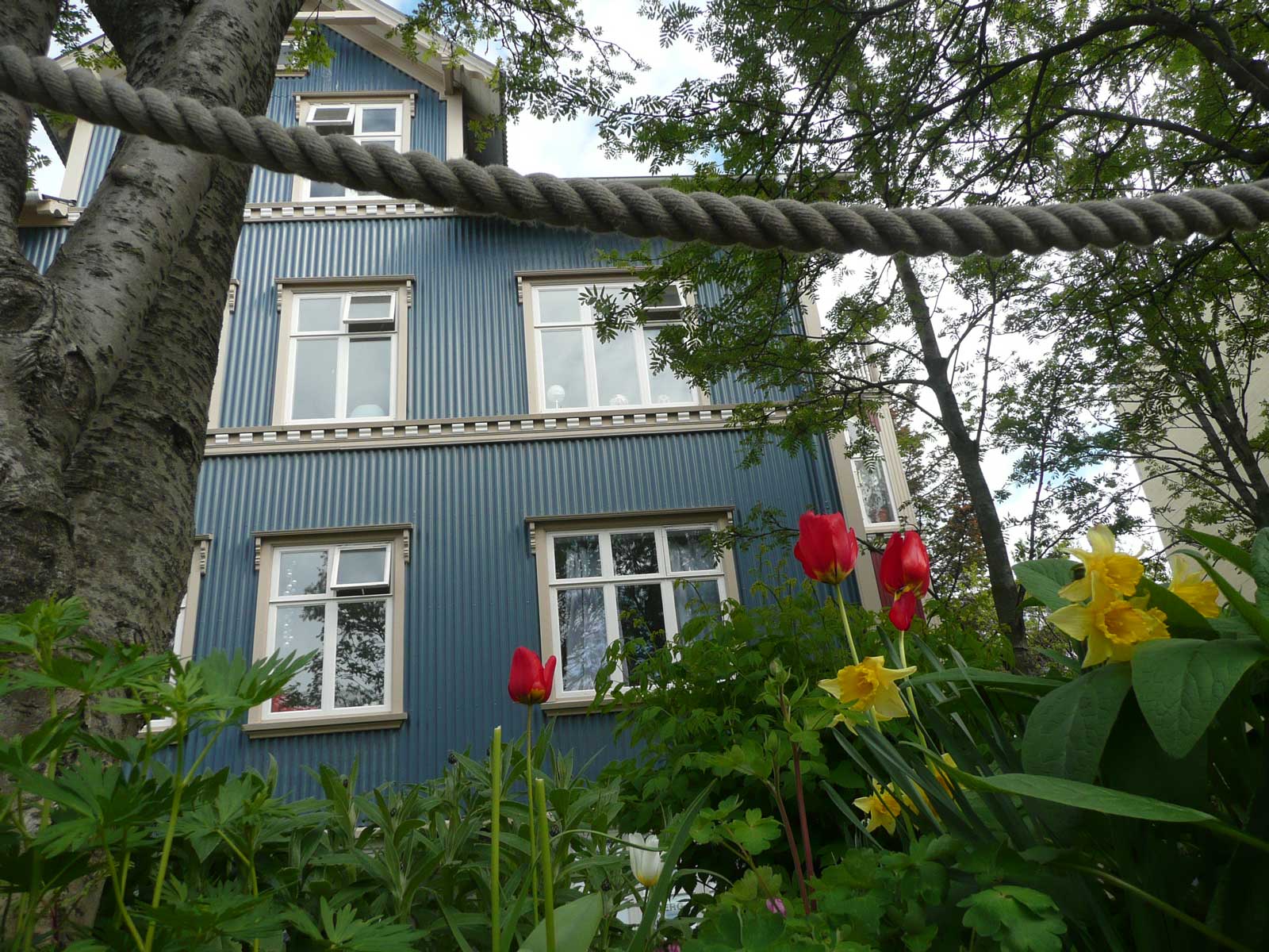 Domek v Reykjavíku