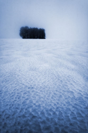 Kouzlení zimy - Stromy II