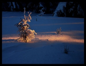 Kouzlení zimy - Osvícení