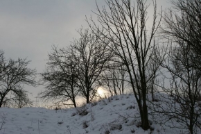 Kouzlení zimy - Zimní soumrak