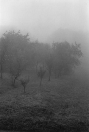 Černobíle… - Ranní mlha