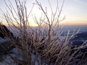 Kouzlení zimy - Skleněný strom