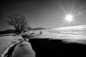 Černobíle… - Krásná zima