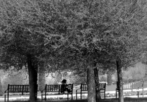 Černobíle… - Na lavičce