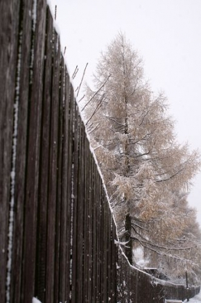 Kouzlení zimy - Přes plot