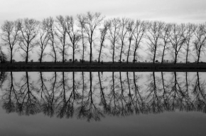 Černobíle… - "zrcadlení"