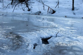 Kouzlení zimy - Zastavený potok