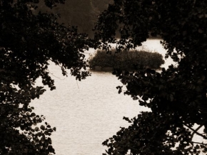 Černobíle… - Výhled mezi stromy