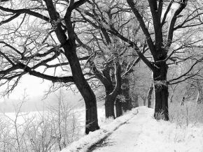 Černobíle… - Zimní cesta