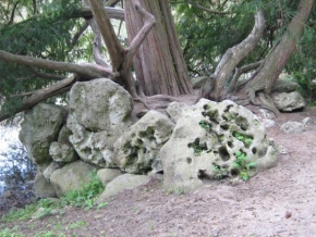 Stromy - Ochranná hradba z kamení