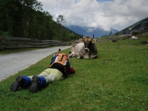 Úlovky z dovolené - Jak se fotí alpské Milky