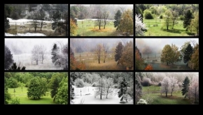 Stromy - Fotograf roku - kreativita - Proměny v čase