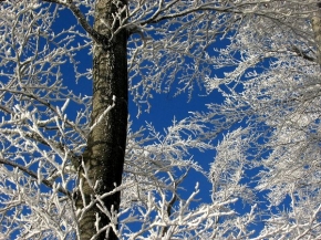 Kouzlení zimy - Zimní krása