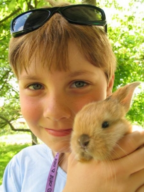 Portréty dětí - Dívka s králíčkem