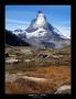 Antoan Pepelanov -Matterhorn 4478 m