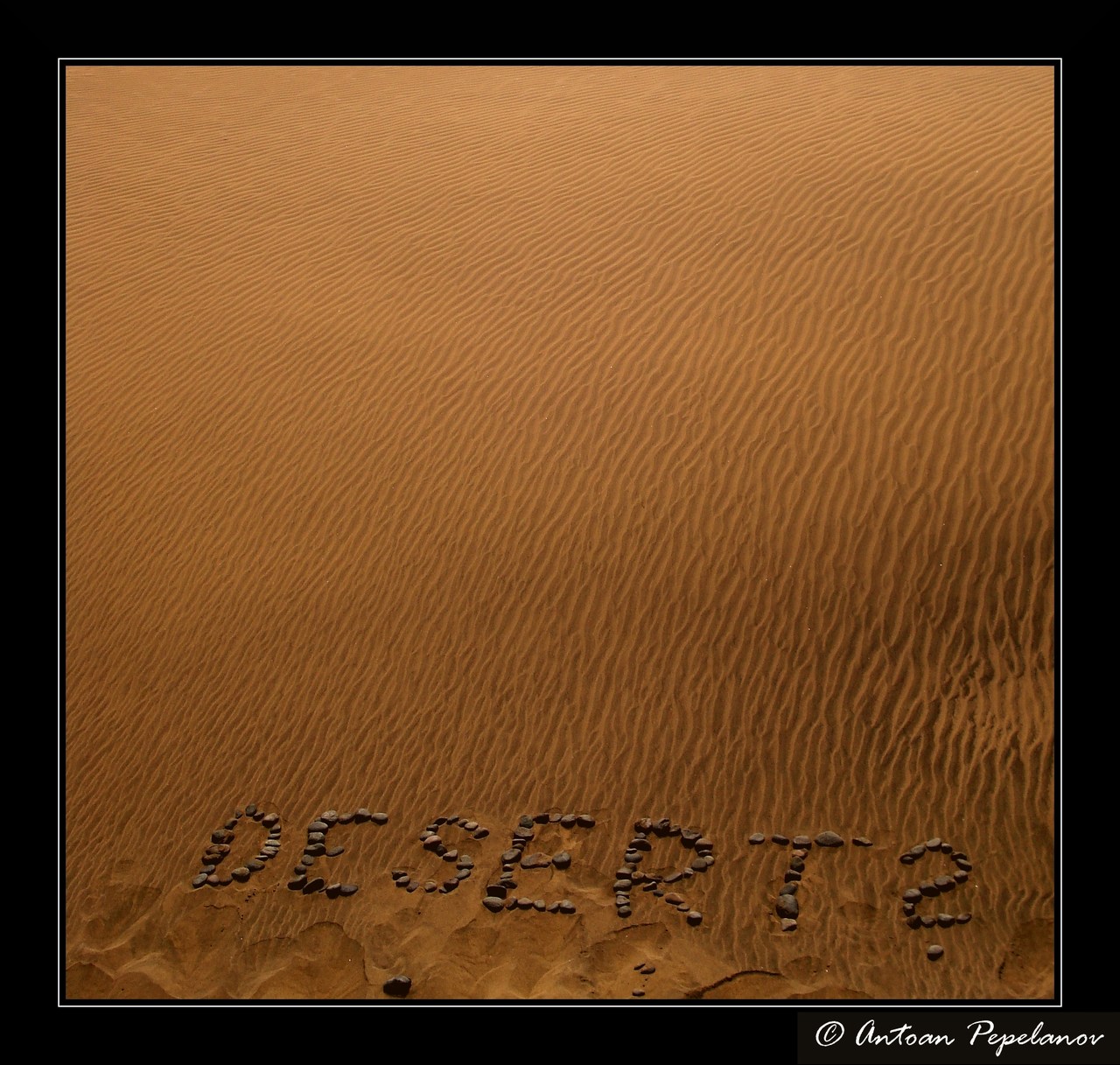 Desert?
