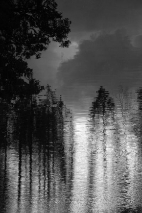 Černobíle… - U lesa