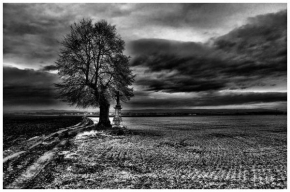 David Říha - Před bouří