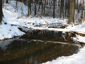 Kouzlení zimy - Lávka přes potok