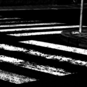 Černobíle… - Zebry na silnici