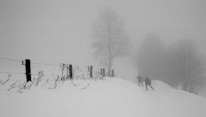 Kouzlení zimy - Vstříc mlžné slepotě...