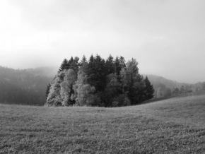 Černobíle… - Mlhavý podzim